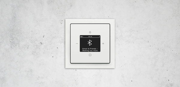 Busch-Radio Btconnect bei Elektro Krämer in Ergersheim